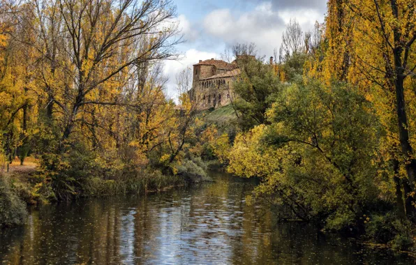 River, autumn, leaves, palace, fall, foliage