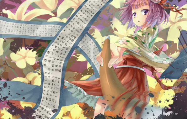 Touhou, akyu, hieda