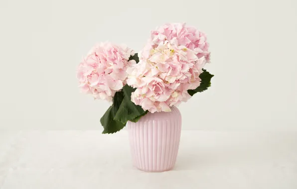 Картинка цветы, букет, розовые, Flowers, Bouquet, Vase