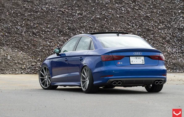 Audi, Vossen