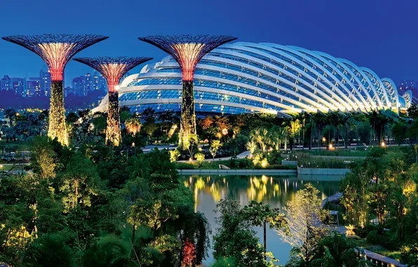 Огни, парк, вечер, подсветка, Сингапур