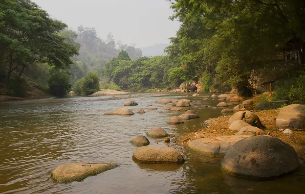 Картинка лес, река, камни, Таиланд