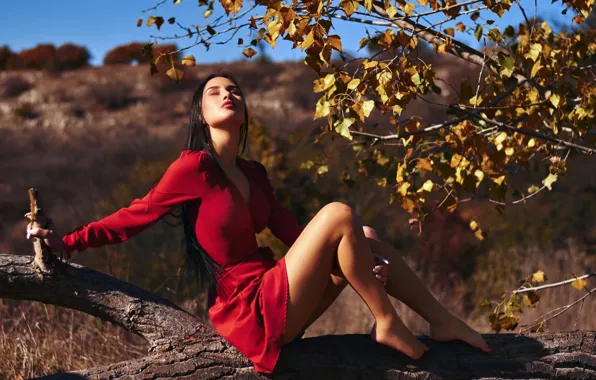 Картинка девушка, sky, trees, field, nature, model, women, brunette