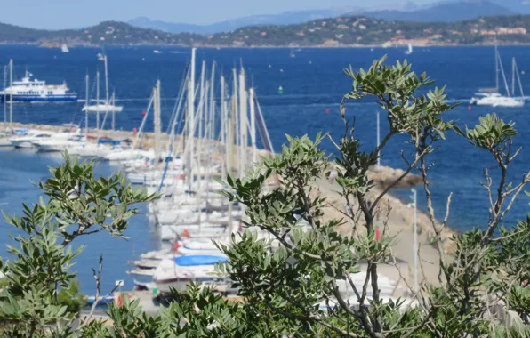 City, landscape, nature, tree, boat