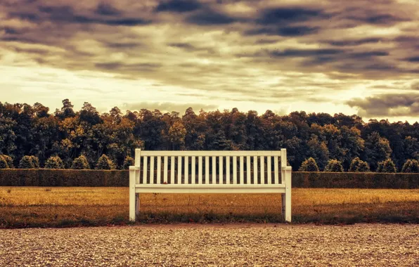 Картинка Осень, Скамейка, Autumn, Bench