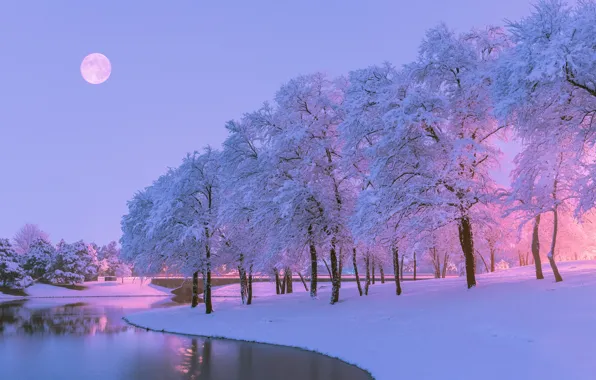 Картинка зима, снег, деревья, природа, река, луна, вечер