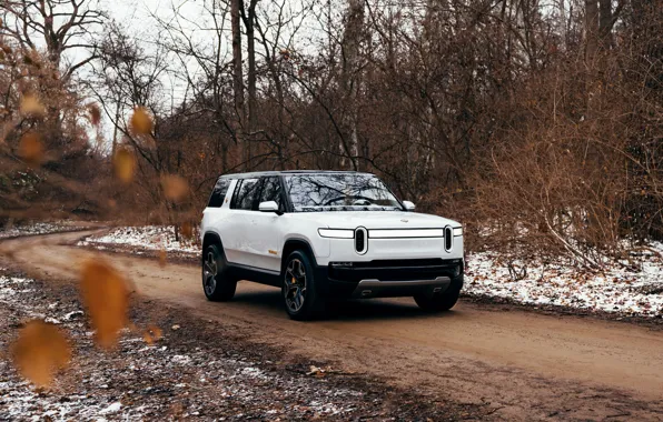 Дорога, лес, белый, SUV, 2019, Rivian, R1S