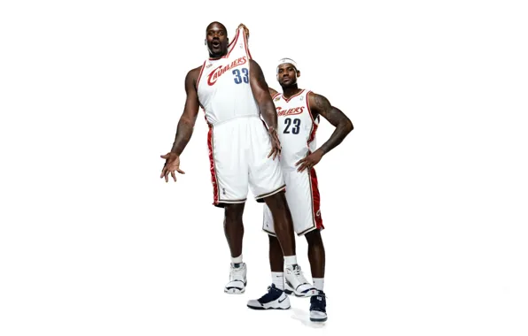 Белый, Баскетбол, Фон, NBA, LeBron James, Cleveland Cavalier, Shaquille O'Neal