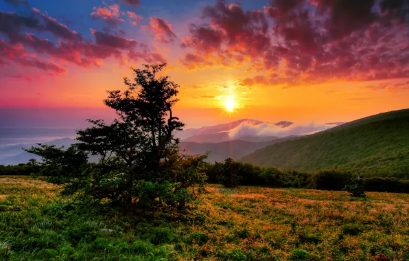 Картинка Северная Каролина, утро, лучи, горы, холмы, солнце, небо, облака
