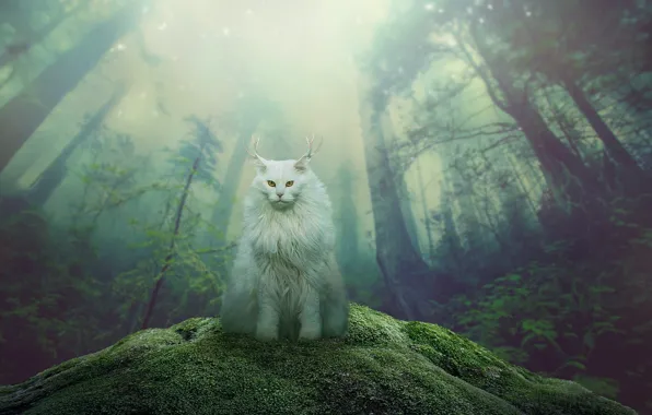 Лес, кошка, кот, взгляд, природа, рога, мейн-кун, фантастическое животное
