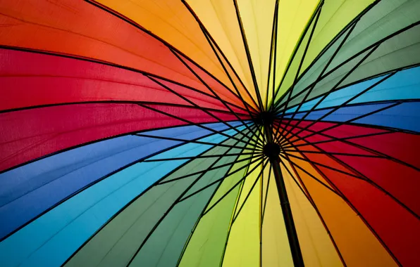 Цвета, зонтик, colors, umbrella