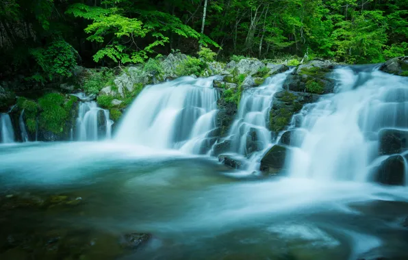 Картинка лес, лето, вода, деревья, ветки, камни, водопад, поток