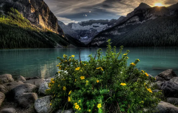 Картинка пейзаж, цветы, горы, озеро