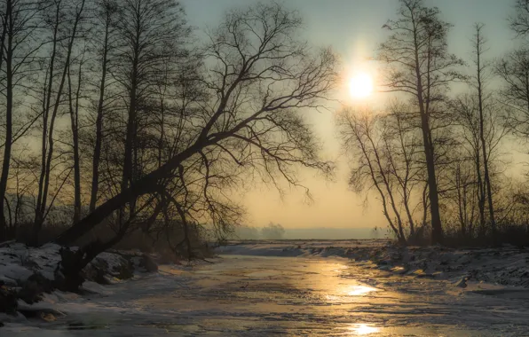 Лед, зима, солнце, снег, деревья, река