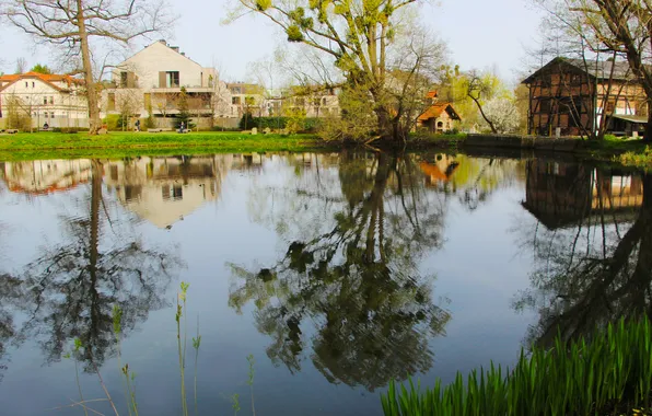 Park, lake, pond