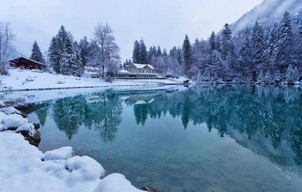 Картинка зима, лес, вода, снег, отражения, деревья, озеро, дома