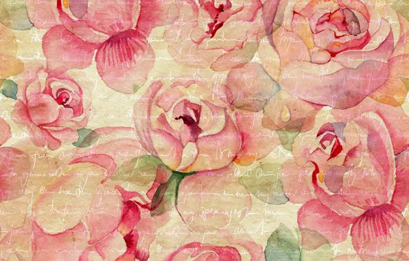 Vintage, background, peony
