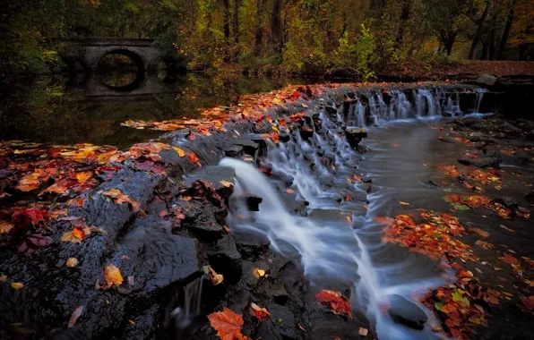 Картинка осень, лес, мост, парк, река, водопад, каскад, Огайо