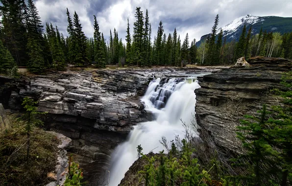 Картинка лес, горы, водопад, Canada, Athabasca Falls in Alberta