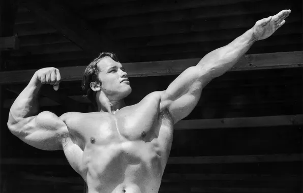 Чёрно-белое, Арнольд Шварценеггер, Arnold Schwarzenegger, эстетика