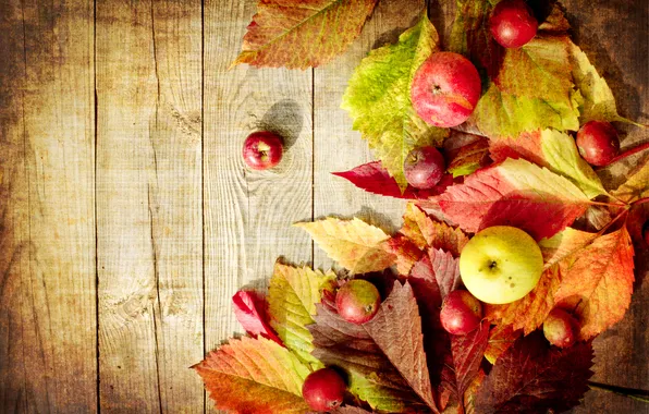 Картинка осень, яблоки, доски, зеленые, красные, листики