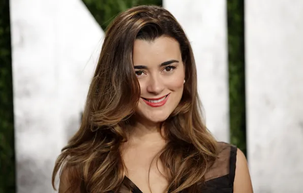 Картинка взгляд, поза, макияж, актриса, hair, Cote De Pablo, Коте де Пабло
