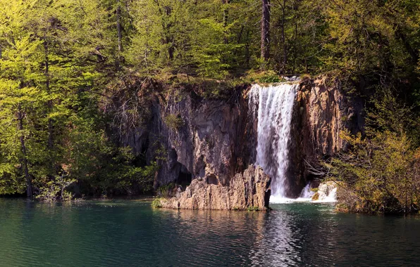 Лес, солнце, деревья, озеро, водопад, Хорватия, Plitvice national park