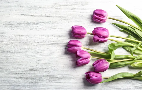 Картинка цветы, букет, тюльпаны, wood, flowers, tulips, spring, purple