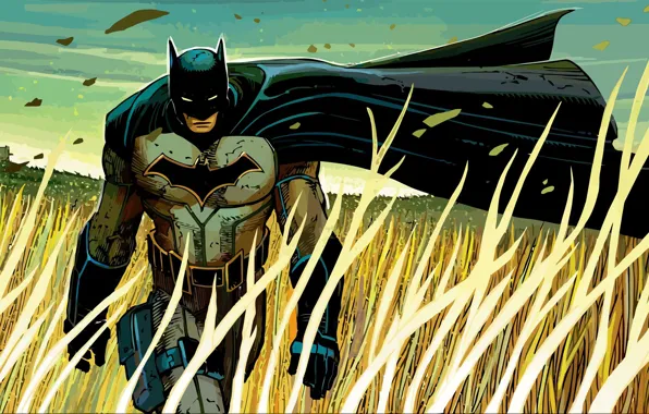 Fantasy, Batman, field, art, man, comics, artwork, wind