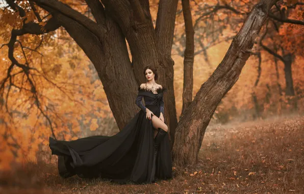 Осень, девушка, деревья, поза, платье, красивая, Irina Chernyshenko