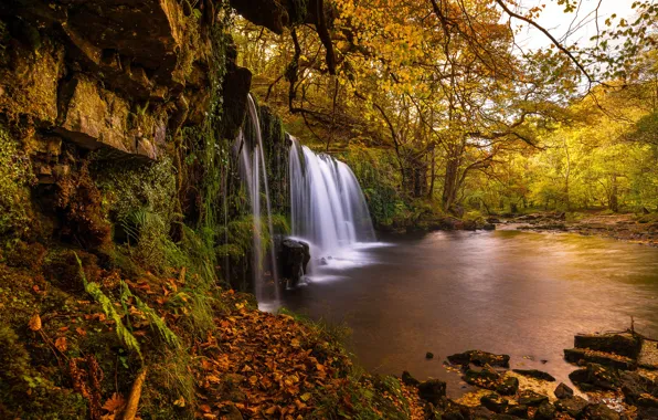 Осень, деревья, река, Англия, водопад, England, Уэльс, Wales