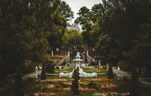 Цветы, парк, мрак, скульптуры