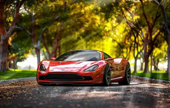 Concept, Aston Martin, DBC