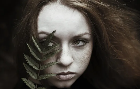 Взгляд, девушка, портрет