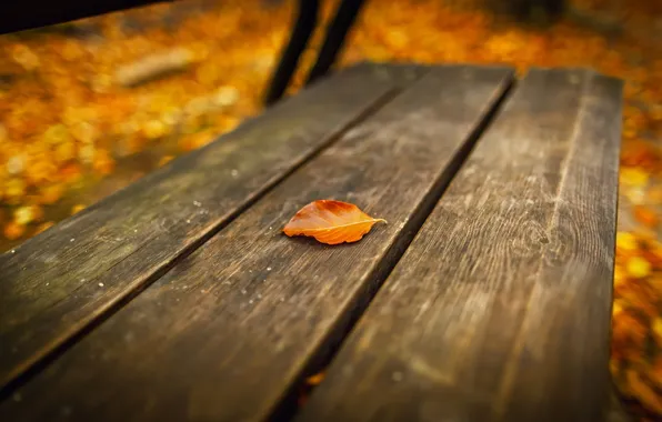 Картинка осень, лист, скамья