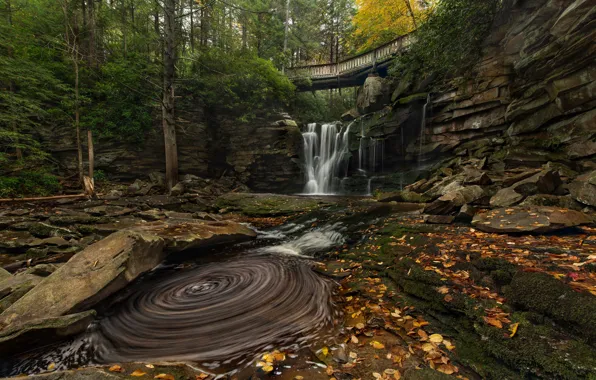 Картинка осень, деревья, мост, река, камни, водопад, каскад, West Virginia