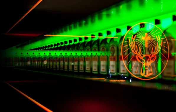 Алкоголь, jagermeister, ликёр