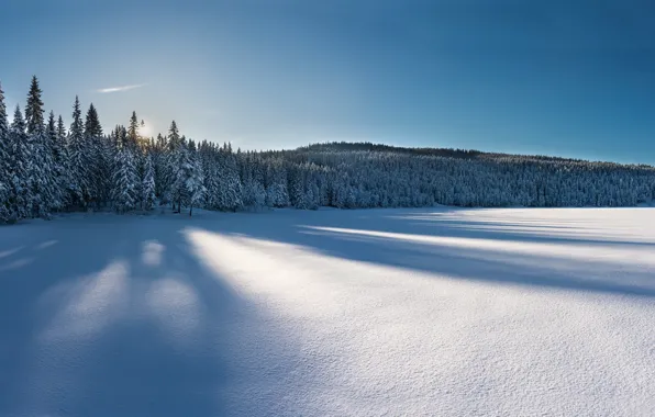 Картинка зима, снег, утро