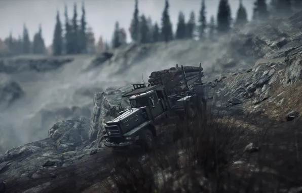 HDR, Wood, Truck, Game, Trailer, Rocks, Trees, Michigan