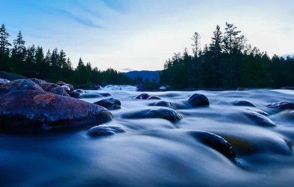 Лес, река, камни, поток