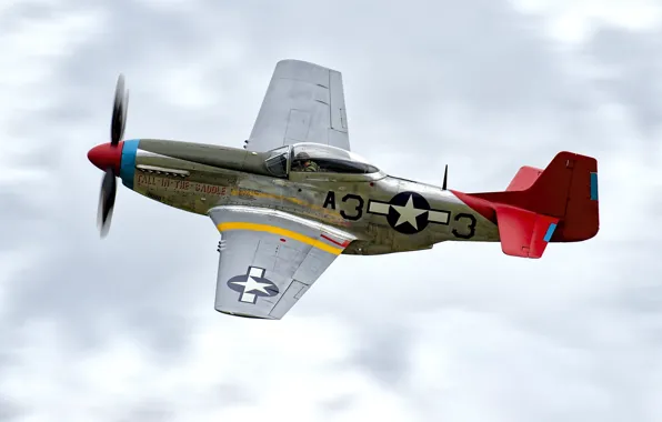 Картинка истребитель, P-51D, периода, одноместный, Второй мировой войны, дальнего радиуса