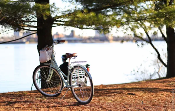 Картинка велосипед, город, река, Канада, Онтарио, Canada, bicycle, Ontario