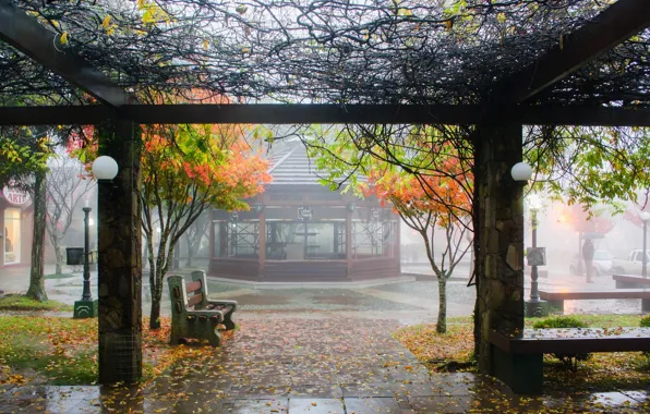 Картинка осень, скамейка, город, дождь, rain, autumn, bench, city​​
