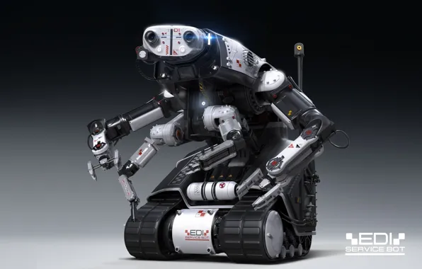 Робот, Igor Sobolevsky, передовые технологии, EDI service bot