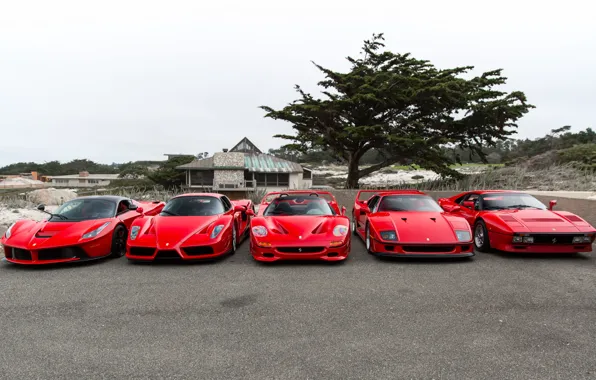 Картинка Ferrari, F40, Enzo, Italia, RED, F50, LaFerrari, 288 GTO