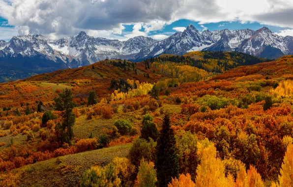 Осень, лес, снег, горы, склоны