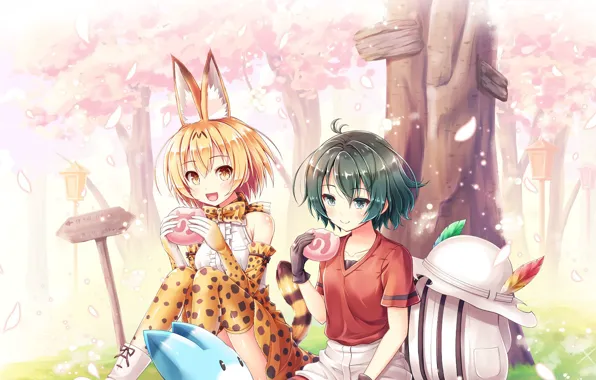 Girl, anime, sakura, japanese, bishojo, Kemono Fiends
