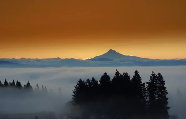 Картинка лес, горы, город, огни, туман, вечер, mount Hood, Eastern Oregon
