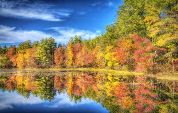 Картинка осень, лес, деревья, озеро, отражение, Нью-Гэмпшир, New Hampshire, Нашуа