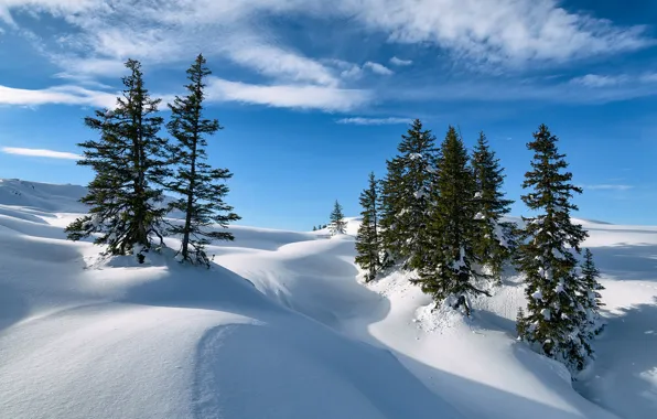 Зима, снег, деревья, Австрия, ели, Альпы, сугробы, Austria